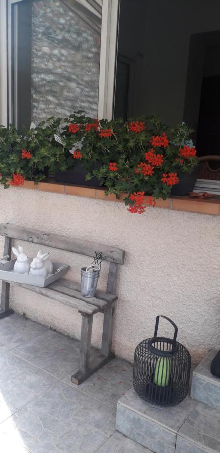 Cote Jardin Bed and Breakfast Périgueux Eksteriør billede